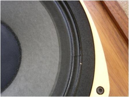 Tannoy SRM12B Close Up 2